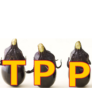 【TPP】小学生でも分かるTPPの基礎知識と最近の動向【2014年9月】