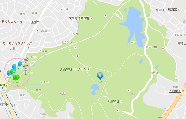 【ポケモンGO】愛知大高緑地公園に出現するポケモン一覧│目撃情報｜ゼニガメの巣